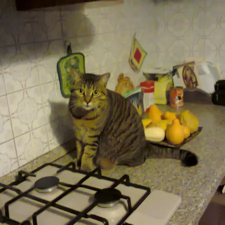 Ca' Di Megoto